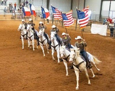 Six White Horses at a rodeo.